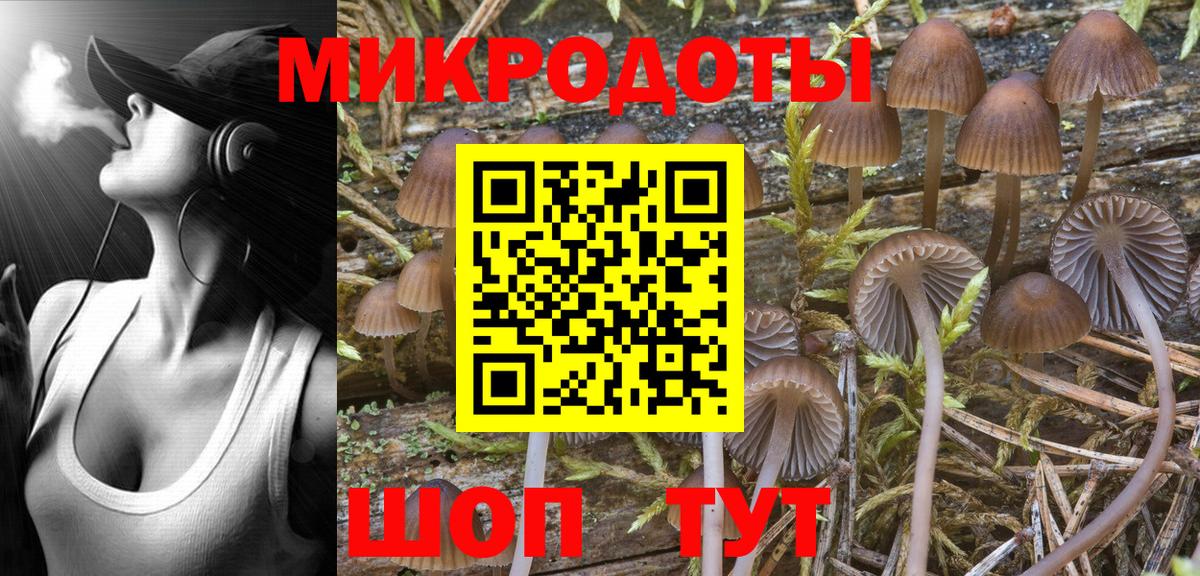 Псилоцибиновые грибы Cubensis Кашира